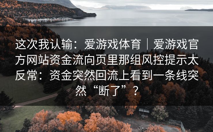 这次我认输：爱游戏体育｜爱游戏官方网站资金流向页里那组风控提示太反常：资金突然回流上看到一条线突然“断了”？