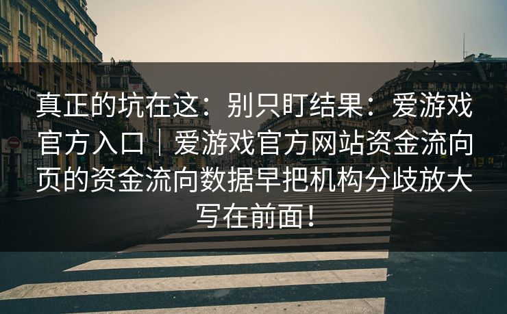 真正的坑在这：别只盯结果：爱游戏官方入口｜爱游戏官方网站资金流向页的资金流向数据早把机构分歧放大写在前面！