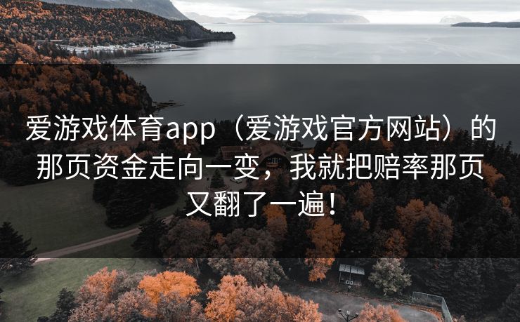 爱游戏体育app（爱游戏官方网站）的那页资金走向一变，我就把赔率那页又翻了一遍！