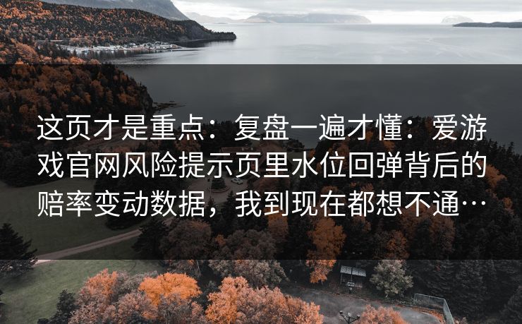 这页才是重点：复盘一遍才懂：爱游戏官网风险提示页里水位回弹背后的赔率变动数据，我到现在都想不通…