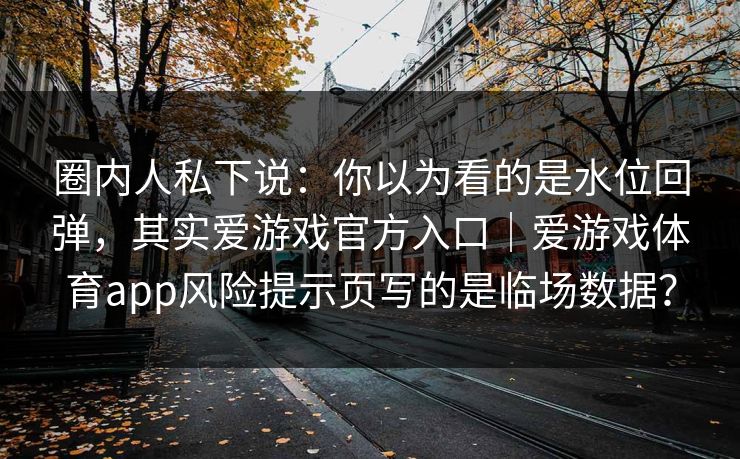 圈内人私下说：你以为看的是水位回弹，其实爱游戏官方入口｜爱游戏体育app风险提示页写的是临场数据？